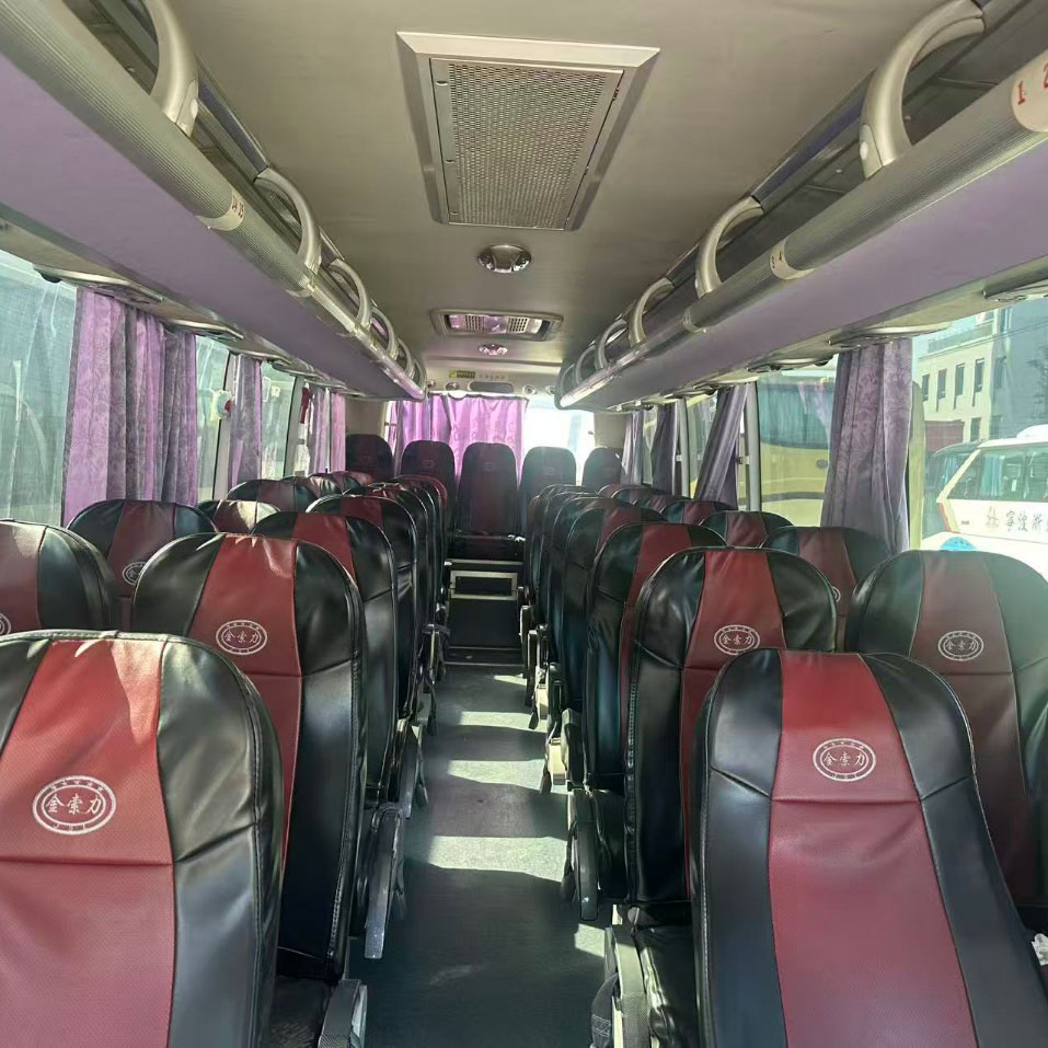9m Lo Diesel Bus